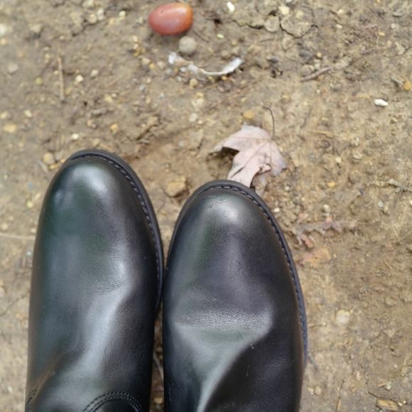 Frye Black Tall Leather Boots - Picture 5 of 10